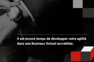 ️ Brevet Fédéral Spécialiste en Gestion de PME ️